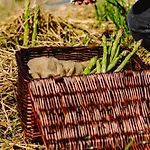 Asolo Norah's Hill Agri Фермерский дом
