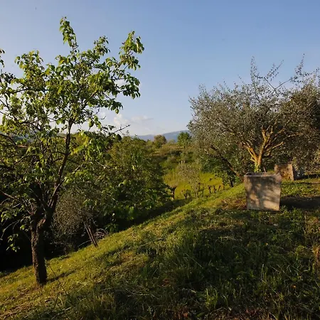 Asolo Norah's Hill Agri Feriegård