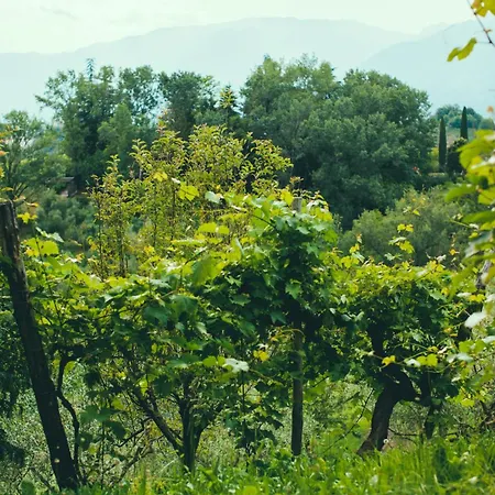 Agroturismo Asolo Norah's Hill Agri *