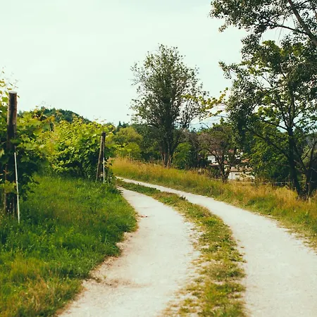 Asolo Norah's Hill Agri Farm stay