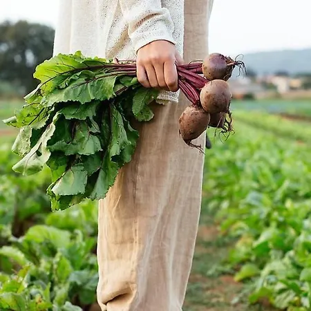 Çiftlik konaklama Asolo Norah's Hill Agri Monfumo