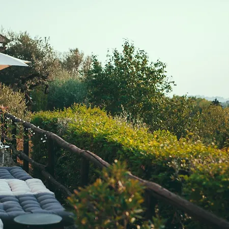 Asolo Norah's Hill Agri Farm stay *