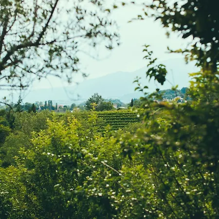 Asolo Norah's Hill Agri * Monfumo