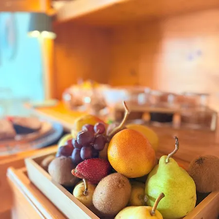 Farm stay Asolo Norah's Hill Agri *