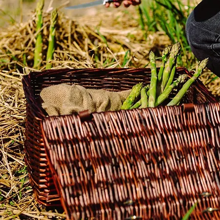 Asolo Norah's Hill Agri Çiftlik konaklama