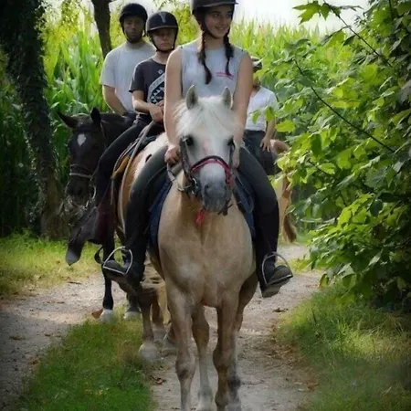 Çiftlik konaklama Asolo Norah's Hill Agri Monfumo
